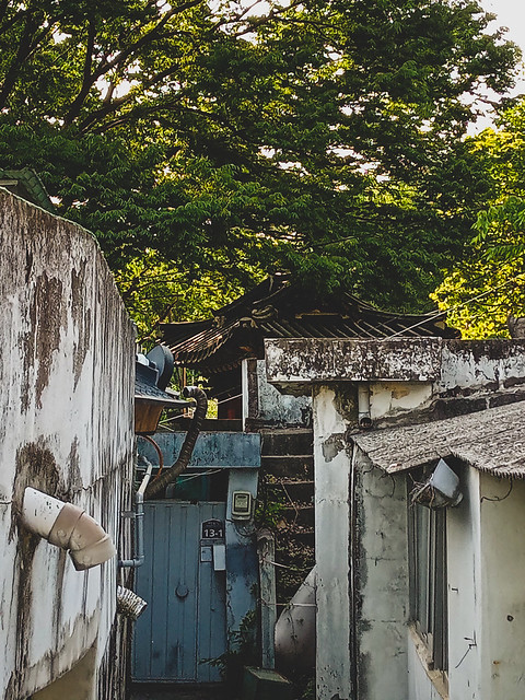 Trees, House Roofs, Alley, Colour 